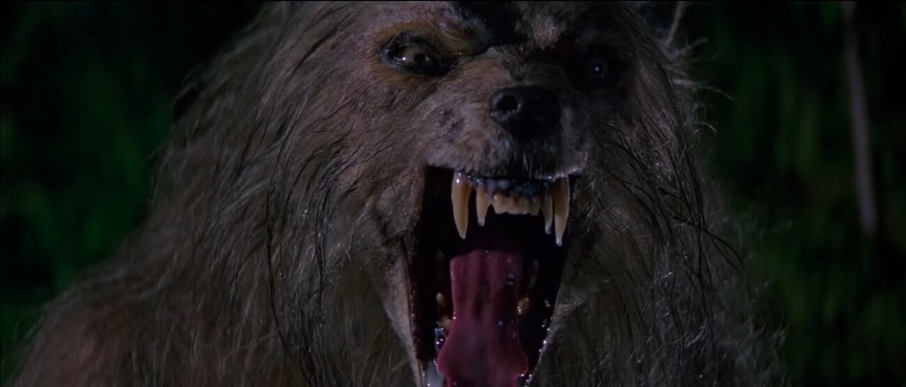 Five Awesome Werewolf Movies You Might Not Have Seen
