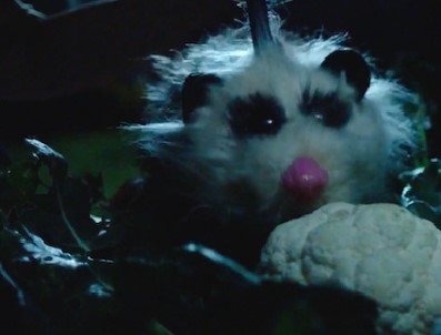 SHF 2024: A Wild Possum