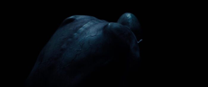 CFF24: Chloë Levine Dazzles in Dream Chasing Somnium