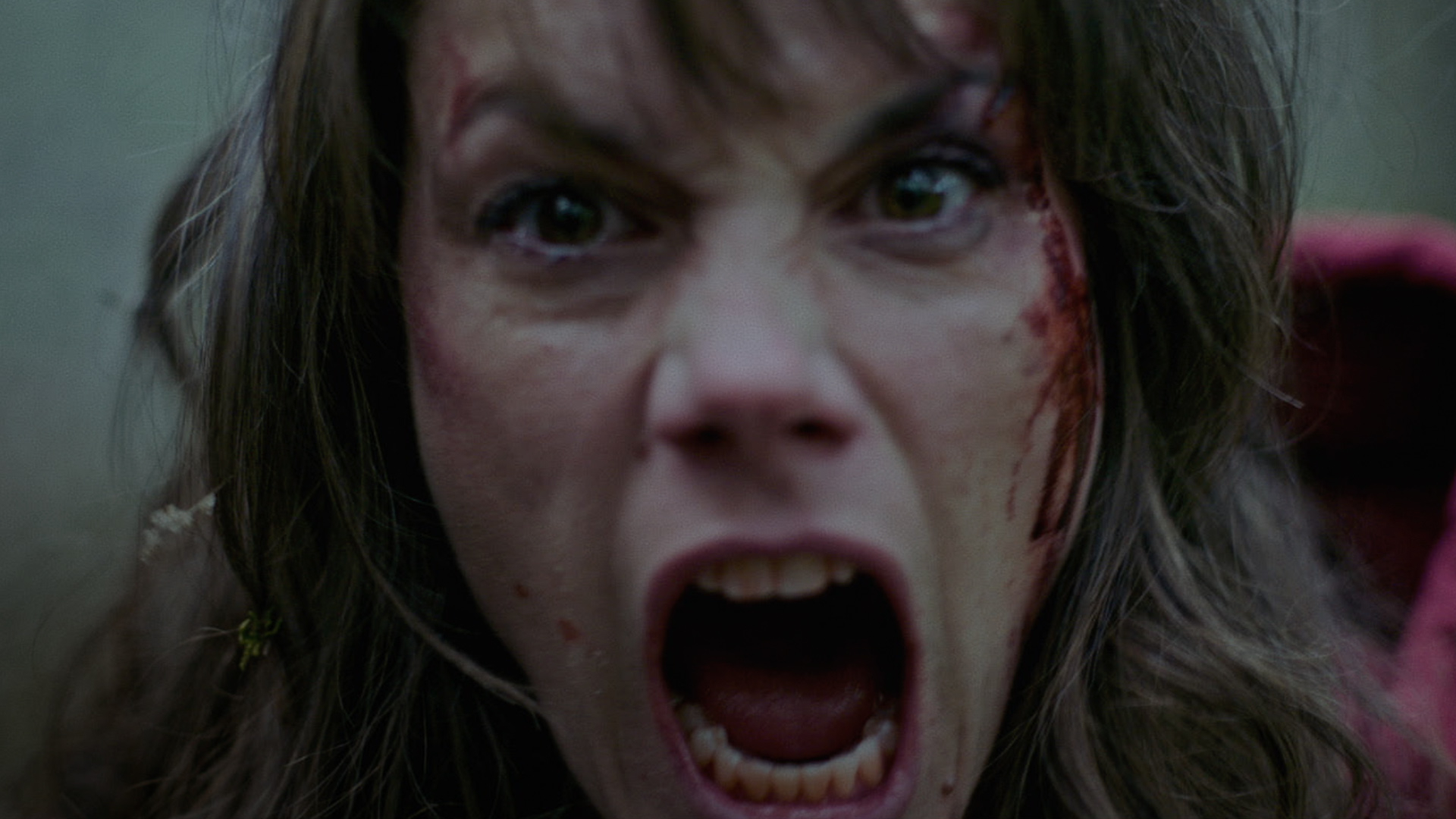 Out Come the Wolves Puts a Love Triangle in Mortal Danger