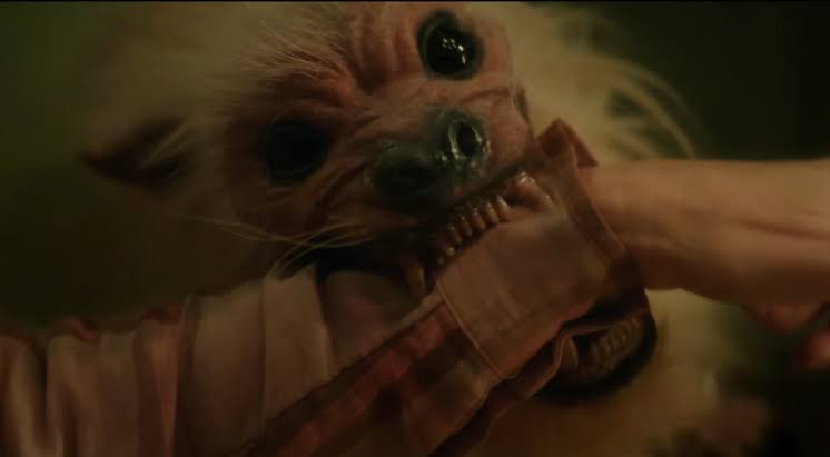 The Parenting Proves a Great Cast Can Boost a Bad Movie