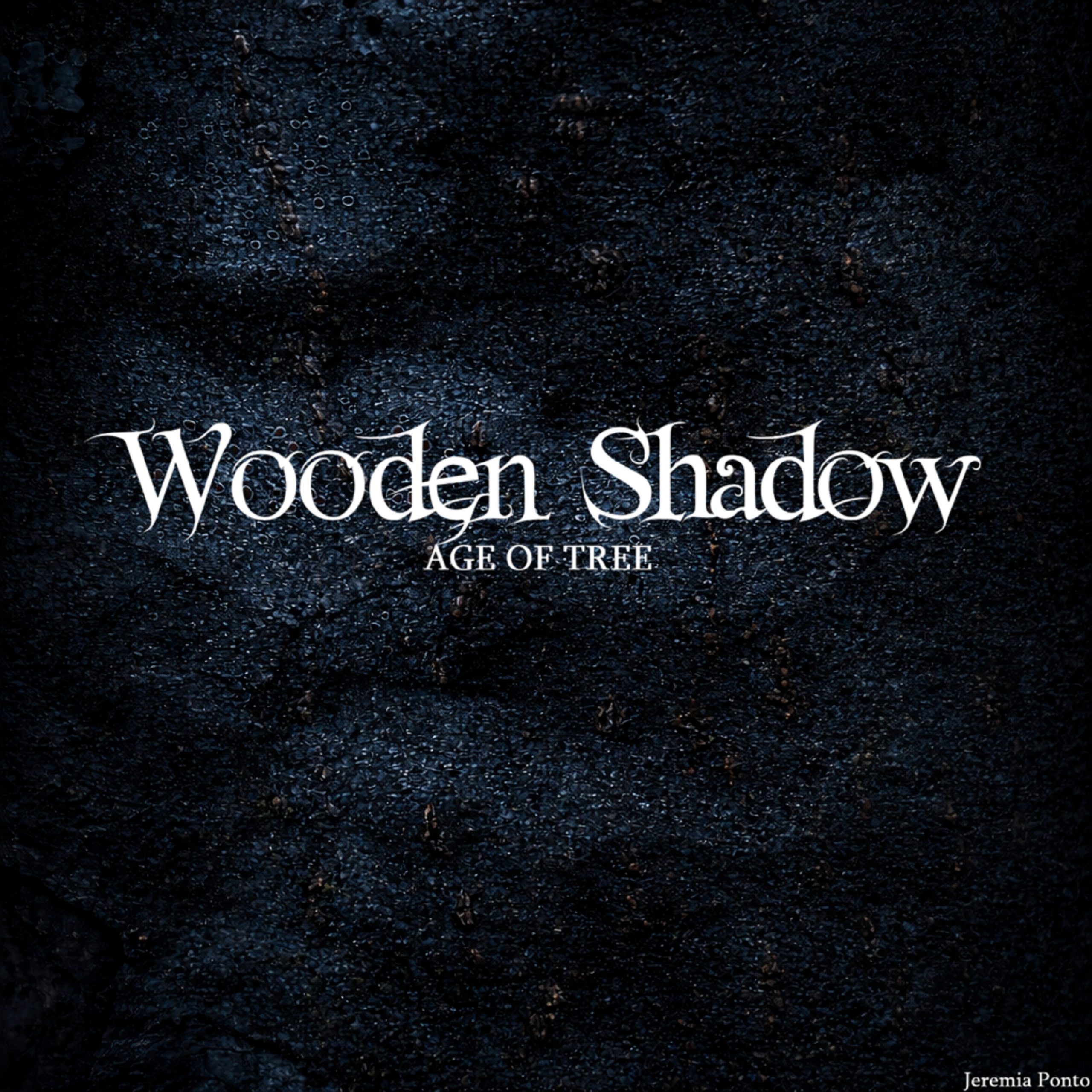 Wooden Shadow Releases New EP: Age of Tree