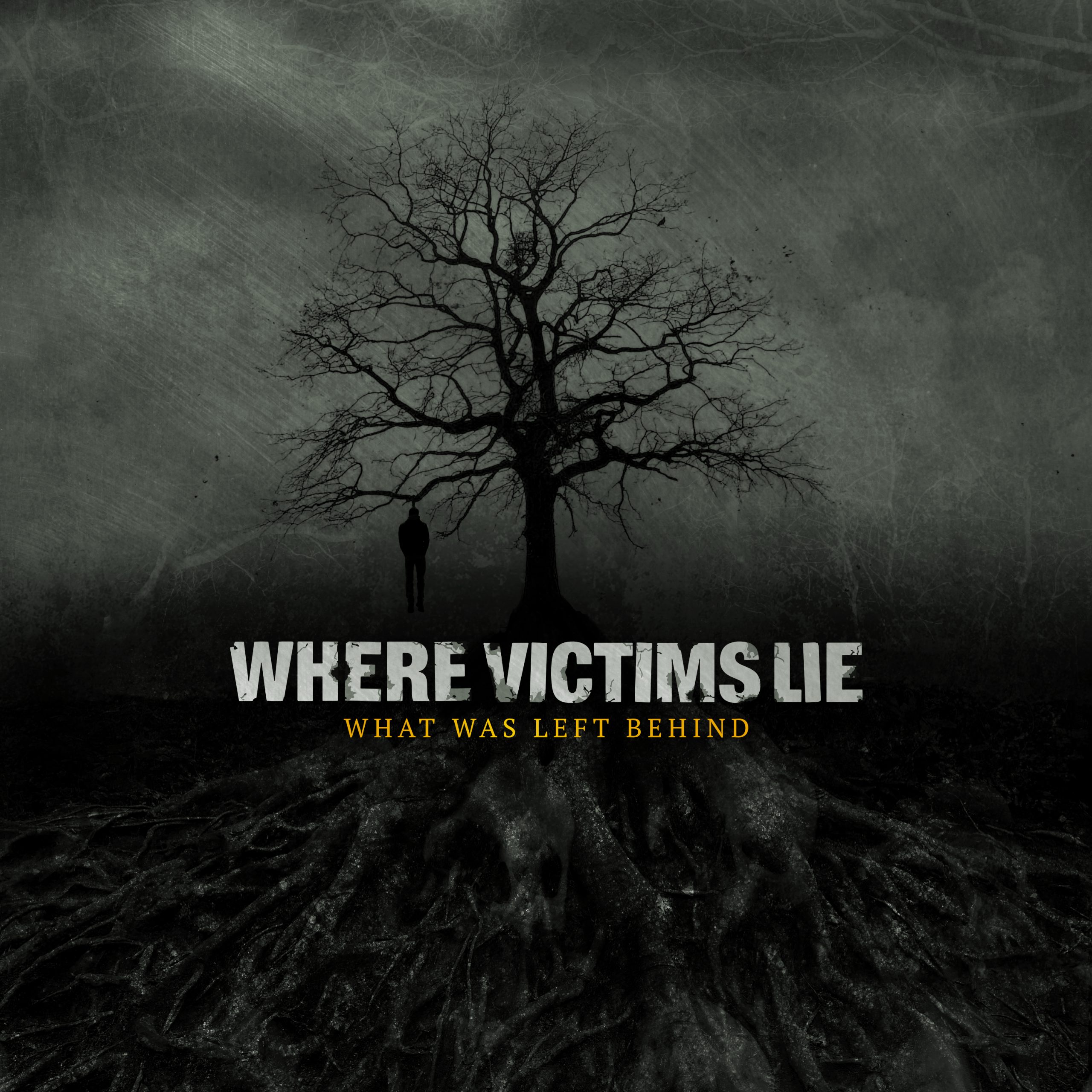 Review: What Was Left Behind by Where Victims Lie