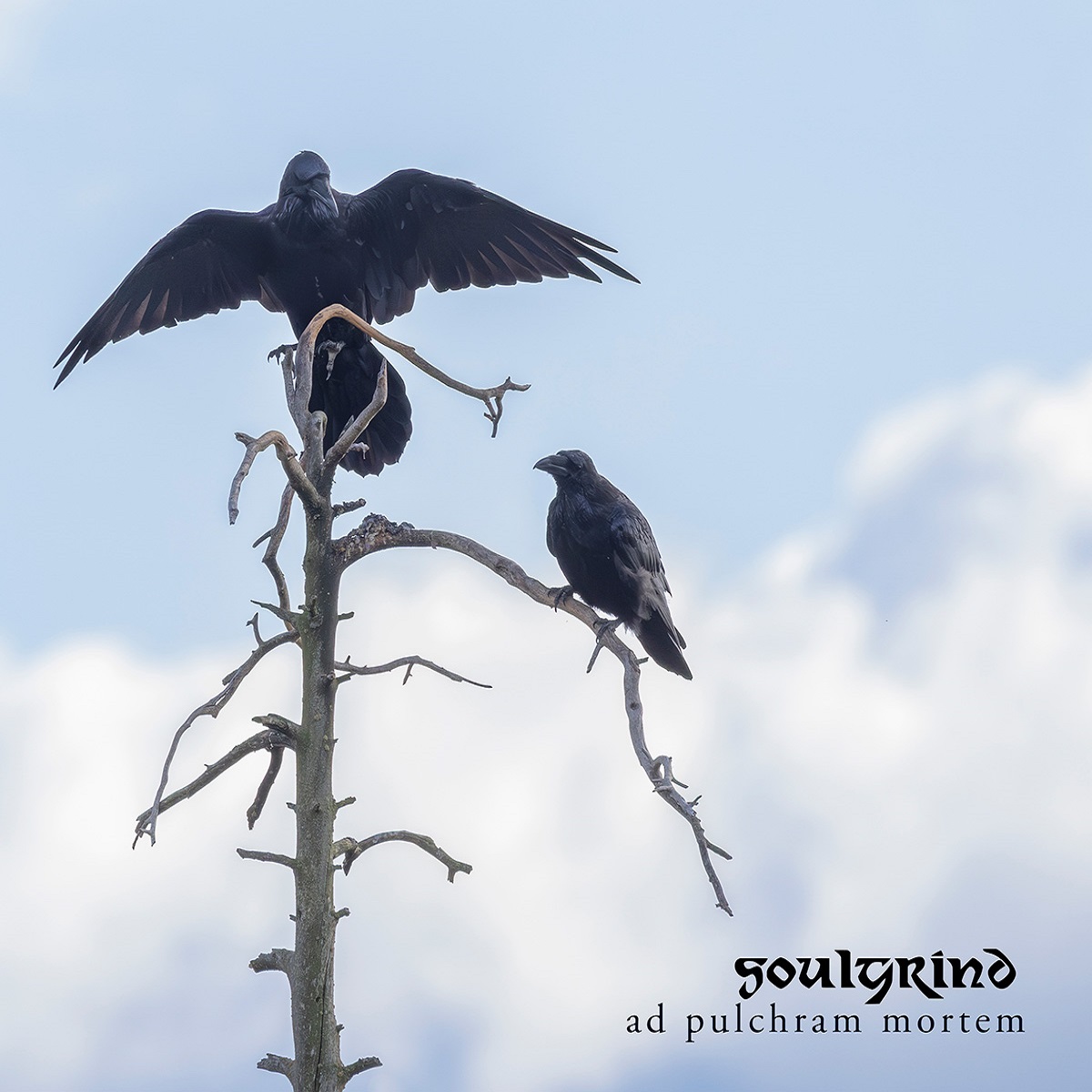 Soulgrind Release New Album Ad Pulchram Mortem